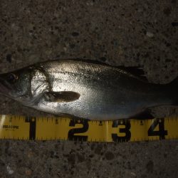 強風と寒さに耐えて