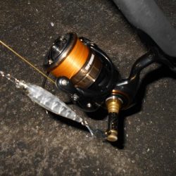 イナッ子は意識していない？