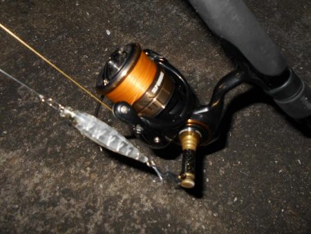 イナッ子は意識していない？