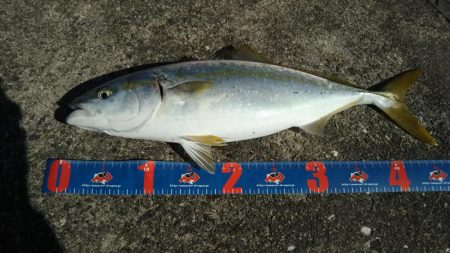 満員御礼で激渋