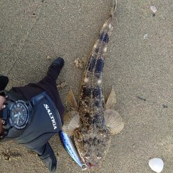 久々釣行でフラットラッシュ