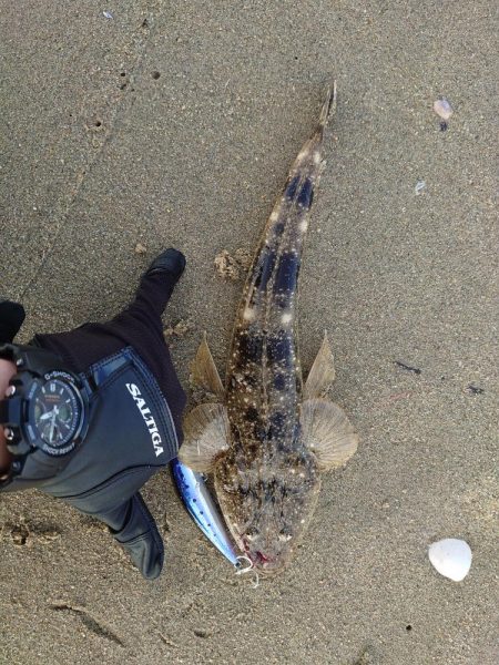 久々釣行でフラットラッシュ