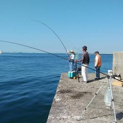 早朝から出撃しました