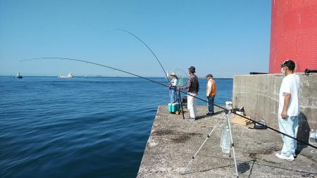 早朝から出撃しました