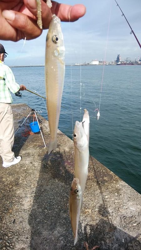 良型キスのアタリを楽しめました