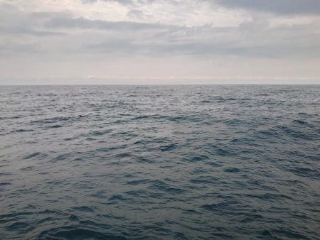 やっぱり青物は厳しい！