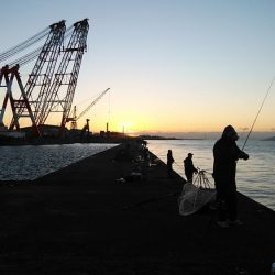 復活するか播磨新島のキス