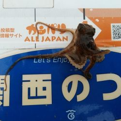 活性が下がった播磨新島のキス