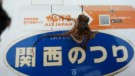 活性が下がった播磨新島のキス