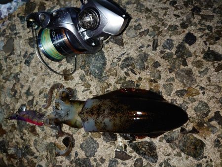 数は出てもサイズは出ず