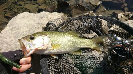 雨上がりの2時間釣行