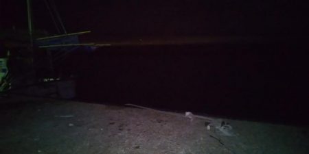 コウイカだった。