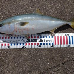 初めてといつもの