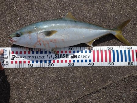 初めてといつもの