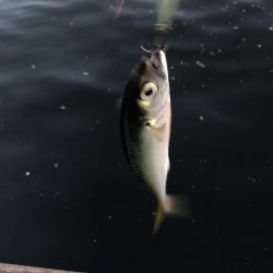 無風のシーサイド