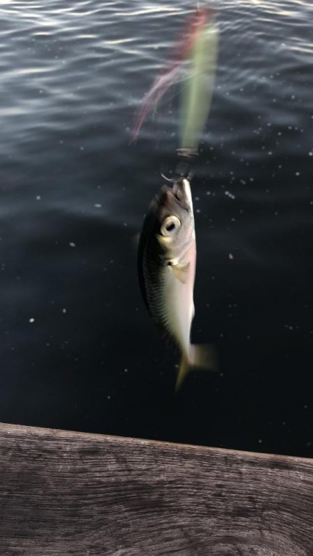 無風のシーサイド