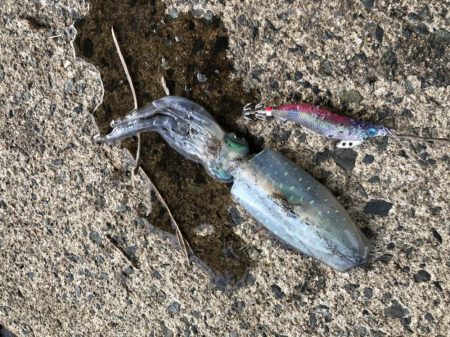 ひさびさの墨まみれ