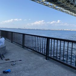 明石海峡大橋の下からの投げ釣りと胴突き釣り