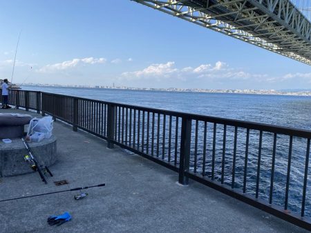 明石海峡大橋の下からの投げ釣りと胴突き釣り