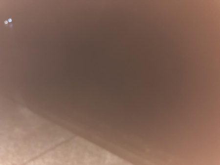 夜は、寒くなってきた