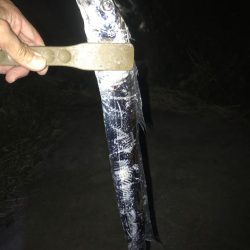 夕マズメの太刀魚釣り