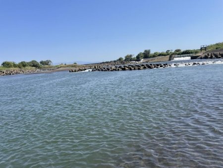 今年初めての白川