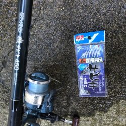 アジ釣り⑧