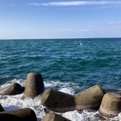 ショアジギング