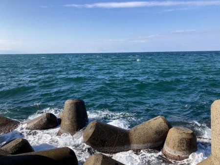 ショアジギング