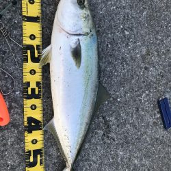 モーニング後のラッシュ