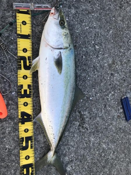 モーニング後のラッシュ