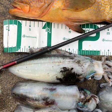 2021 佐渡ヶ島エギング 30回目