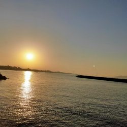 エギング墨付け完了