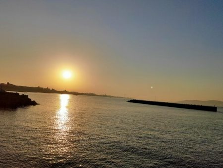 エギング墨付け完了