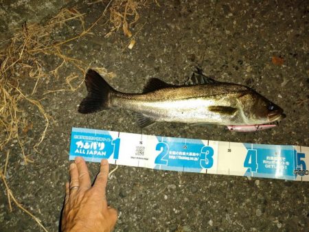 会社帰り釣行は激熱だった!