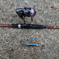 まだまだトップで