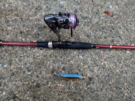 まだまだトップで