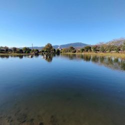 渋かったけど息子との久々の管釣りは楽しかった！