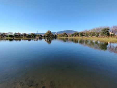 渋かったけど息子との久々の管釣りは楽しかった！