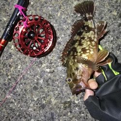 2021/10/02 南港ヘチ釣り