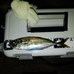 フロートゲーム～