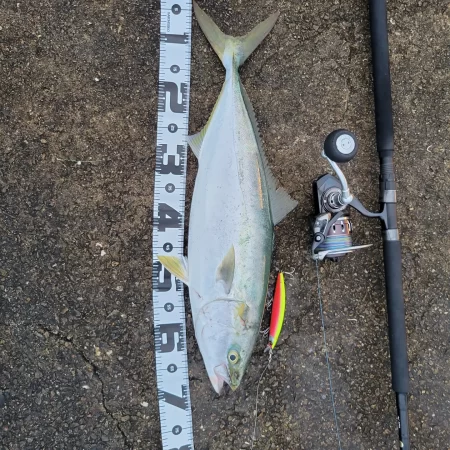 久しぶりの釣果