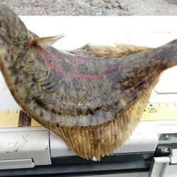 最後にドラマが