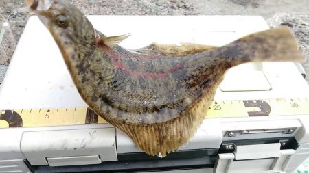 最後にドラマが