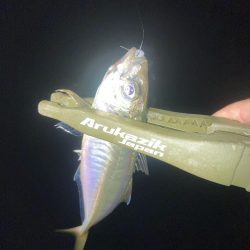 ボトムのアジングが釣れるのはなぜ？