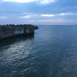 無限豆アジング