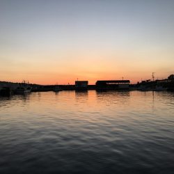 ホーム漁港の朝マズメ