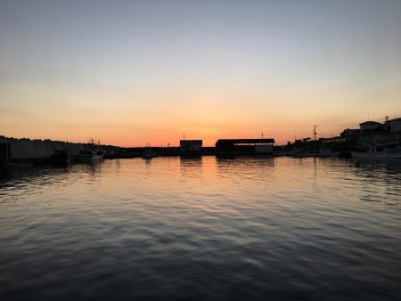 ホーム漁港の朝マズメ