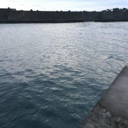 時合を狙い撃ち