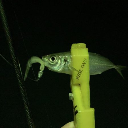 A.P.Pフィッシングガイドサービス　NFポイントチェックにRIDEON！